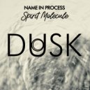 Name In Process - Spirit Molecule