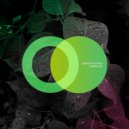 Sebastian Haas - Sleepless