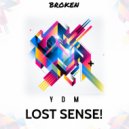Y.D.M - Lost Sence! (Original Mix)