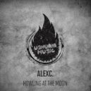 AlexC. - Momentum (Original Mix)