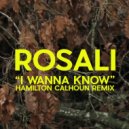 Rosali & Hamilton Calhoun - I Wanna Know (Hamilton Calhoun Remix)