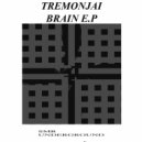 Tremonjai - Splint (Original mix)