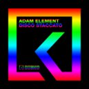 Adam Element - Disco Staccato (Original mix)