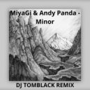 Miyagi & Andy Panda - Minor