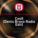 DJ Groove & Александр Гудков - Сноб (Denis Bravo Radio Edit)