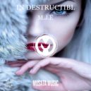 M.J.E - In-Destructible