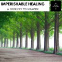 Serenity Calls & Mystical Guide - The Nourished Soul