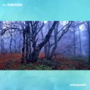 The Asteroids - Undergrowth (Original mix)