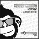 Sekret Chadow - Electrophonia (Original Mix)