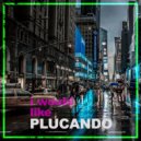 plucando - I Would Like ()