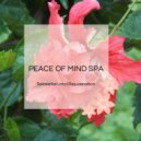 Yogsutra Relaxation Co - Enhancing Inner (Original Mix)