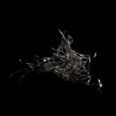 BAILE - Tracing Grooves