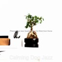 Calming Dog Jazz - Atmospheric Backdrops for Studying at Home