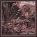 BrahmiN & BoDo - Ancient Birds (Original Mix)
