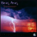 Bing Ang - The Monsoon ()