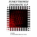 Funkythowdj - Enigmatic (Original mix)