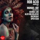 Rob Acid - Brainfood