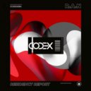 R.A.N. - Residency Report