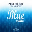 Paul Brugel - The Bee Effect (Radio Mix)