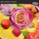 Derek Undergrad - Problems (Extended Mix)