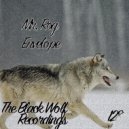 Mr. Rog - Perfection (Original Mix)