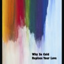 Why So Cold - Replace Your Love