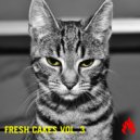 Joel Cruz - Back (Original Mix)
