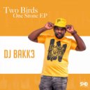 Dj Bakk3 Feat Koki Riba - Lady Freedom