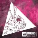 Digid - Cold Fever (Original Mix)