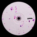 Prundu - Searching (He Did Remix)