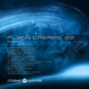 Cosmic Waves - Flying Dreams 022 (28.10.2020) ()