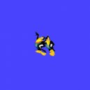 Get The Yayo - Birds