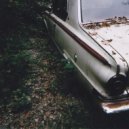 Tawny Peaks - The Tree Song ()