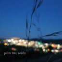 Patrick Kelley - Palm Tree Seeds ()