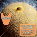 Sunglasses At Disko - Nothing & Everything