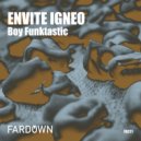 Boy Funktastic - Falso Tortazo (Original Mix)