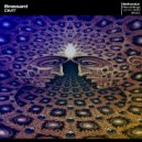 Brassard - Dmt