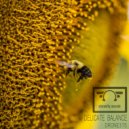 Drone375 - Delicate Balance