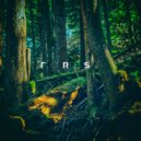 E.lementaL - Forest (Ambient version)