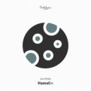 Son of Elita - Hamelin