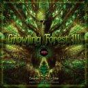 Primordial Ooze - Synthetic Structures (Original Mix)