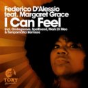 Federico d\'Alessio, Margaret Grace - I Can Feel (Mark Di Meo Soulful Vocal)
