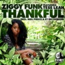 Tess Leah, Ziggy Funk - Thankful (Sy Sez Dub Mix)