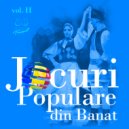 Ansamblul Timisul - Sarba de la Caransebes