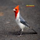 Tiefes Patagonien - Cicles II (Original mix)