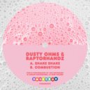 Dusty Ohms & RaptorHandz - Combustion (Original Mix)