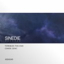 Caner Genc - Towards The End (Original Mix)