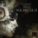 Dionigi - Flower Fly