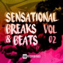 Distape, Tony Garbo - Shock Me Down