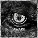 David Bau - Awake